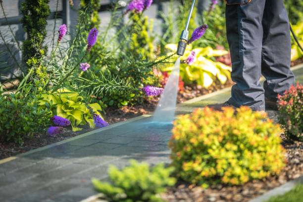 Best Pre-Holiday Cleaning  in Zolfo Springs, FL