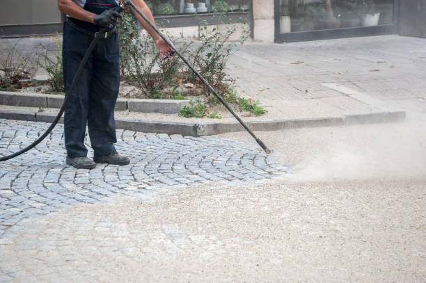 Best Driveway Pressure Washing  in Zolfo Springs, FL